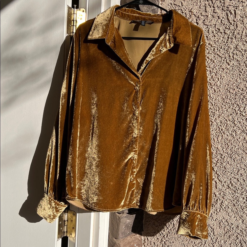 Crashed velvet White House Black Market shirt